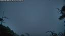 ./images/calvert/fitz-hugh-hecate/20250706/fitz-hugh-hecate20250706_050007M.jpg