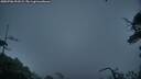 ./images/calvert/fitz-hugh-hecate/20250706/fitz-hugh-hecate20250706_051009M.jpg