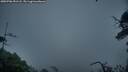 ./images/calvert/fitz-hugh-hecate/20250706/fitz-hugh-hecate20250706_051508M.jpg