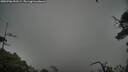 ./images/calvert/fitz-hugh-hecate/20250706/fitz-hugh-hecate20250706_053509M.jpg