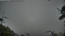 ./images/calvert/fitz-hugh-hecate/20250706/fitz-hugh-hecate20250706_055008M.jpg