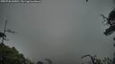 ./images/calvert/fitz-hugh-hecate/20250706/fitz-hugh-hecate20250706_060010M.jpg