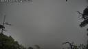 ./images/calvert/fitz-hugh-hecate/20250706/fitz-hugh-hecate20250706_060510M.jpg