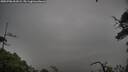 ./images/calvert/fitz-hugh-hecate/20250706/fitz-hugh-hecate20250706_061008M.jpg