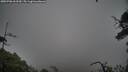 ./images/calvert/fitz-hugh-hecate/20250706/fitz-hugh-hecate20250706_063510M.jpg