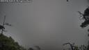 ./images/calvert/fitz-hugh-hecate/20250706/fitz-hugh-hecate20250706_064508M.jpg