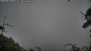 ./images/calvert/fitz-hugh-hecate/20250706/fitz-hugh-hecate20250706_070010M.jpg