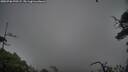 ./images/calvert/fitz-hugh-hecate/20250706/fitz-hugh-hecate20250706_070506M.jpg