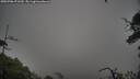 ./images/calvert/fitz-hugh-hecate/20250706/fitz-hugh-hecate20250706_071510M.jpg