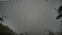 ./images/calvert/fitz-hugh-hecate/20250706/fitz-hugh-hecate20250706_072509M.jpg