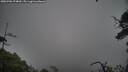 ./images/calvert/fitz-hugh-hecate/20250706/fitz-hugh-hecate20250706_074010M.jpg