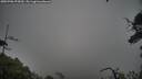 ./images/calvert/fitz-hugh-hecate/20250706/fitz-hugh-hecate20250706_075010M.jpg