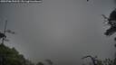 ./images/calvert/fitz-hugh-hecate/20250706/fitz-hugh-hecate20250706_090510M.jpg