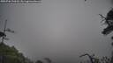 ./images/calvert/fitz-hugh-hecate/20250706/fitz-hugh-hecate20250706_100510M.jpg