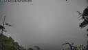 ./images/calvert/fitz-hugh-hecate/20250706/fitz-hugh-hecate20250706_101009M.jpg