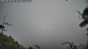 ./images/calvert/fitz-hugh-hecate/20250706/fitz-hugh-hecate20250706_101510M.jpg