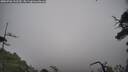 ./images/calvert/fitz-hugh-hecate/20250706/fitz-hugh-hecate20250706_122510M.jpg
