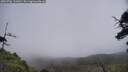 ./images/calvert/fitz-hugh-hecate/20250706/fitz-hugh-hecate20250706_131010M.jpg