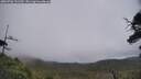 ./images/calvert/fitz-hugh-hecate/20250706/fitz-hugh-hecate20250706_131509M.jpg