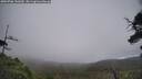 ./images/calvert/fitz-hugh-hecate/20250706/fitz-hugh-hecate20250706_132009M.jpg