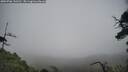./images/calvert/fitz-hugh-hecate/20250706/fitz-hugh-hecate20250706_133510M.jpg