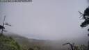 ./images/calvert/fitz-hugh-hecate/20250706/fitz-hugh-hecate20250706_135010M.jpg