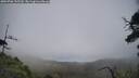 ./images/calvert/fitz-hugh-hecate/20250706/fitz-hugh-hecate20250706_135510M.jpg