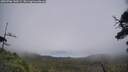 ./images/calvert/fitz-hugh-hecate/20250706/fitz-hugh-hecate20250706_140508M.jpg