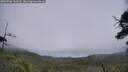 ./images/calvert/fitz-hugh-hecate/20250706/fitz-hugh-hecate20250706_141010M.jpg
