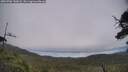 ./images/calvert/fitz-hugh-hecate/20250706/fitz-hugh-hecate20250706_142008M.jpg
