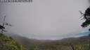 ./images/calvert/fitz-hugh-hecate/20250706/fitz-hugh-hecate20250706_143507M.jpg