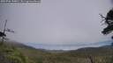 ./images/calvert/fitz-hugh-hecate/20250706/fitz-hugh-hecate20250706_144010M.jpg