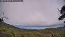 ./images/calvert/fitz-hugh-hecate/20250706/fitz-hugh-hecate20250706_145009M.jpg