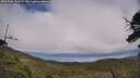 ./images/calvert/fitz-hugh-hecate/20250706/fitz-hugh-hecate20250706_145508M.jpg