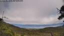 ./images/calvert/fitz-hugh-hecate/20250706/fitz-hugh-hecate20250706_150009M.jpg