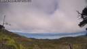 ./images/calvert/fitz-hugh-hecate/20250706/fitz-hugh-hecate20250706_150510M.jpg