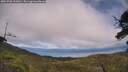 ./images/calvert/fitz-hugh-hecate/20250706/fitz-hugh-hecate20250706_151010M.jpg