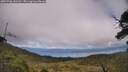 ./images/calvert/fitz-hugh-hecate/20250706/fitz-hugh-hecate20250706_151510M.jpg