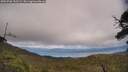 ./images/calvert/fitz-hugh-hecate/20250706/fitz-hugh-hecate20250706_152509M.jpg