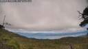 ./images/calvert/fitz-hugh-hecate/20250706/fitz-hugh-hecate20250706_153011M.jpg