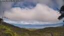 ./images/calvert/fitz-hugh-hecate/20250706/fitz-hugh-hecate20250706_154511M.jpg