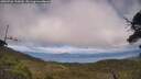 ./images/calvert/fitz-hugh-hecate/20250706/fitz-hugh-hecate20250706_155009M.jpg