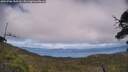 ./images/calvert/fitz-hugh-hecate/20250706/fitz-hugh-hecate20250706_155509M.jpg