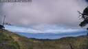 ./images/calvert/fitz-hugh-hecate/20250706/fitz-hugh-hecate20250706_160010M.jpg