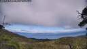 ./images/calvert/fitz-hugh-hecate/20250706/fitz-hugh-hecate20250706_160510M.jpg