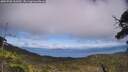./images/calvert/fitz-hugh-hecate/20250706/fitz-hugh-hecate20250706_161009M.jpg