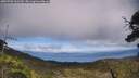 ./images/calvert/fitz-hugh-hecate/20250706/fitz-hugh-hecate20250706_161510M.jpg