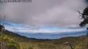 ./images/calvert/fitz-hugh-hecate/20250706/fitz-hugh-hecate20250706_162509M.jpg