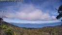 ./images/calvert/fitz-hugh-hecate/20250706/fitz-hugh-hecate20250706_165509M.jpg