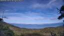 ./images/calvert/fitz-hugh-hecate/20250706/fitz-hugh-hecate20250706_173509M.jpg